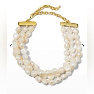 Cult Gaia Nora choker. So gorgeous and classic